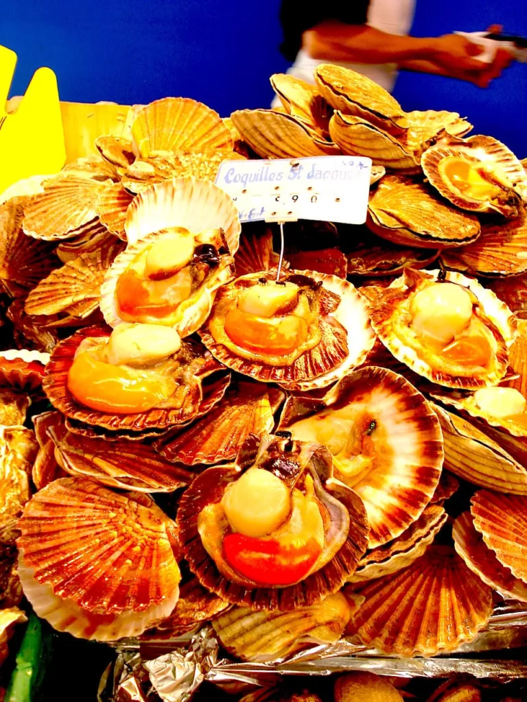 Coquilles Saint Jacques
