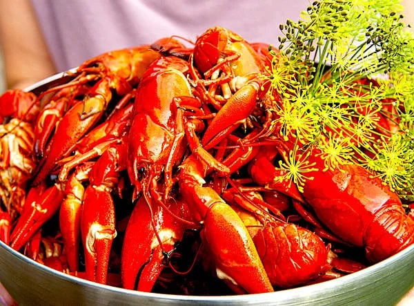 The Hirshon Swedish Crayfish With Dill Feast - Kräftor Med Dill