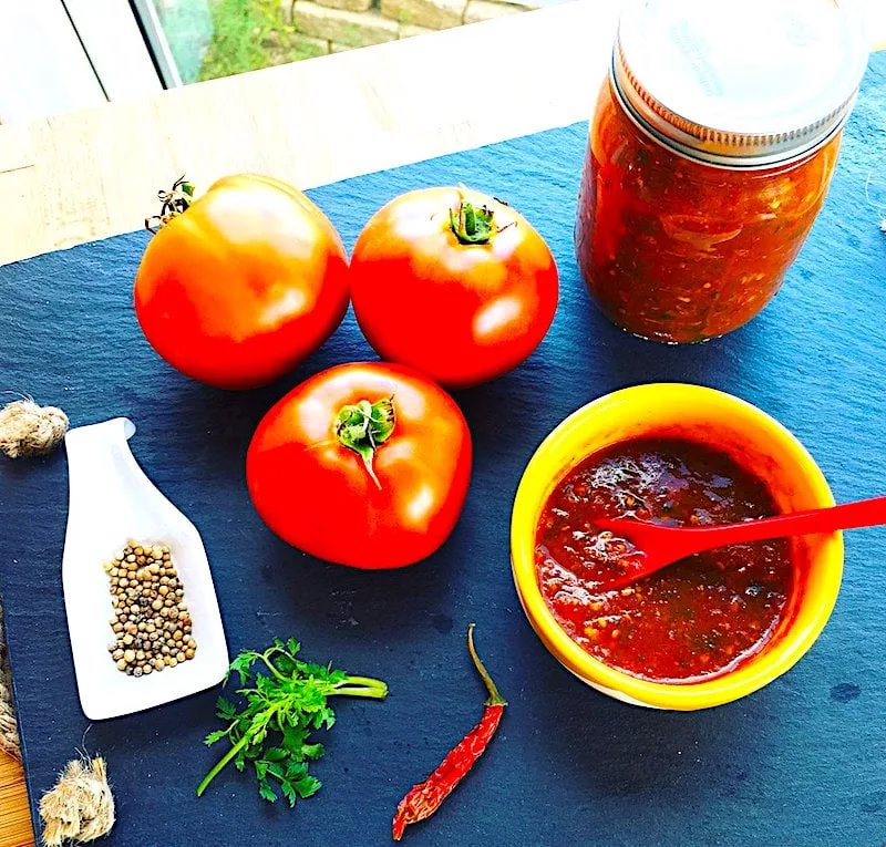The Hirshon Georgian Tomato Sauce - ტომატის საწებელი