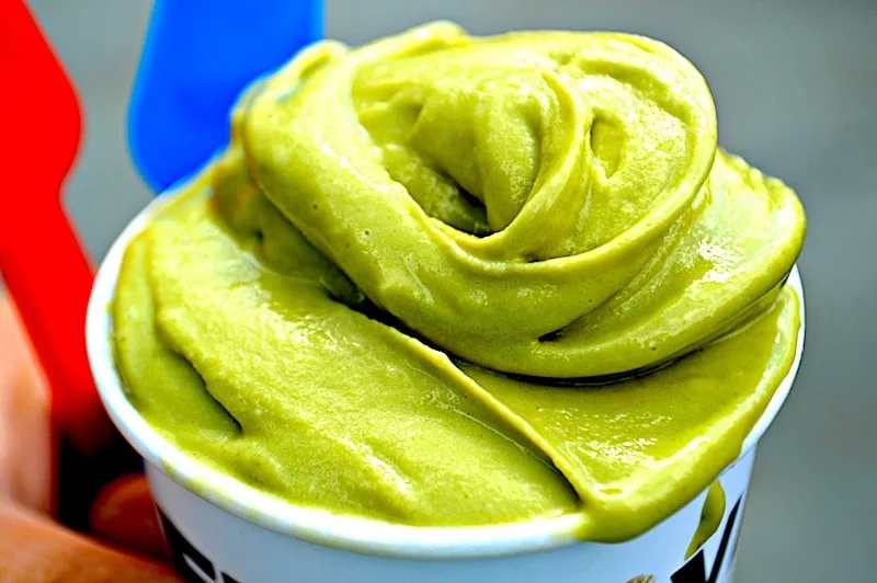 The Hirshon Sicilian Pistachio Gelato 15 The Hirshon Sicilian Pistachio Gelato