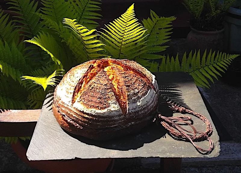 2,000 Year Old Bread Recipe From Pompeii