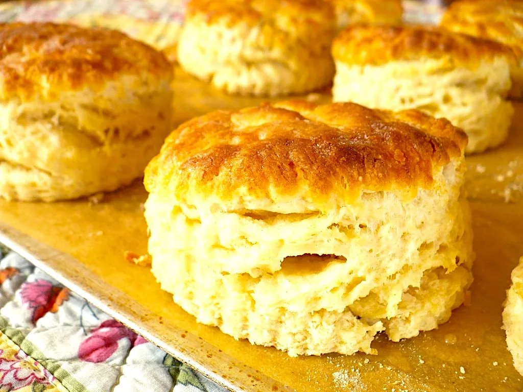 Scott Peacock’s Ultimate Buttermilk Biscuits