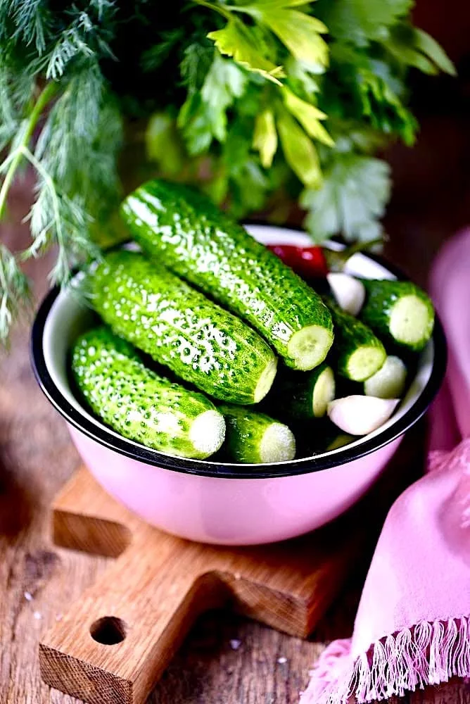 The Hirshon Russian Dill Cucumber Pickles - Малосольные Oгурцы