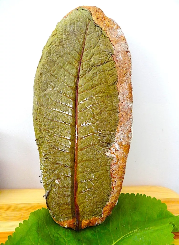The Hirshon Polish Garlic Rye Bread With Horseradish Leaves - Chleb na Liściu Chrzanu