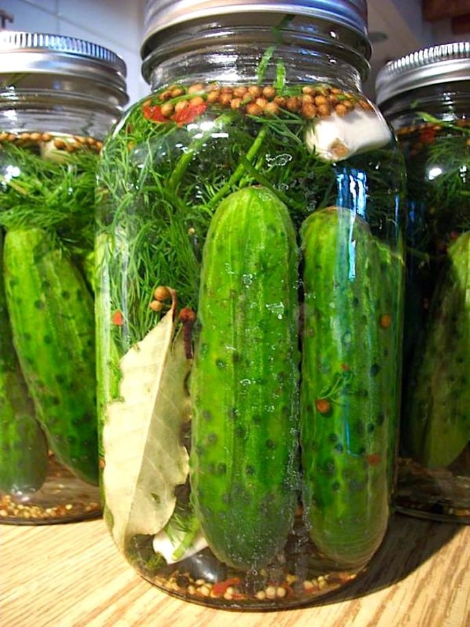 The Hirshon Authentic Jewish HalfSour Dill Pickles זויערע וגערקע