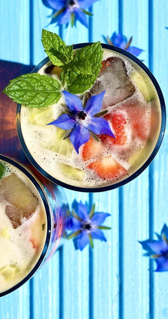 The Hirshon Commonwealth Pimm's Cup