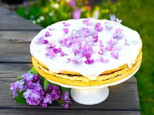 The Hirshon Latvian Alexander’s Torte - Aleksandra Kūka